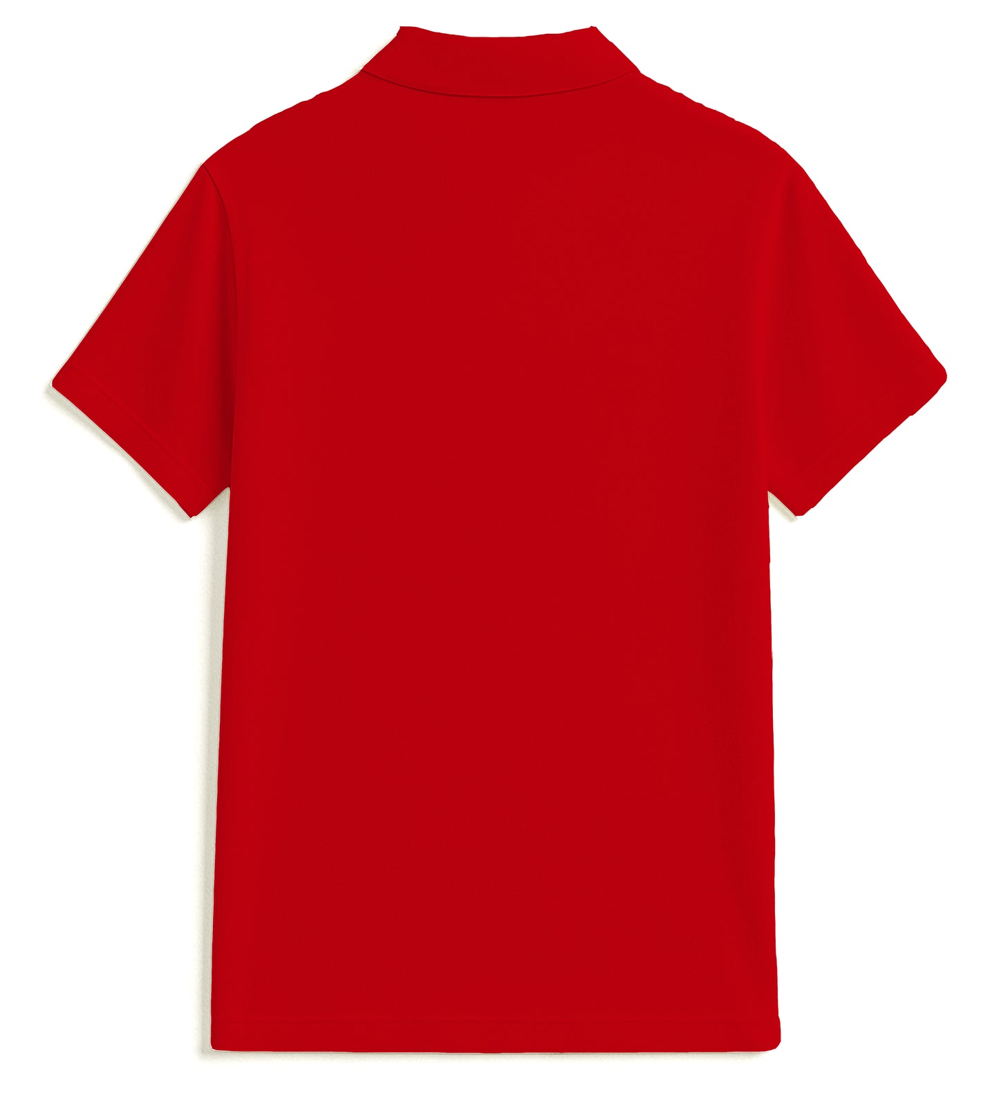 Polo neck collar Tshirt for Men